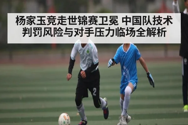 杨家玉竞走世锦赛卫冕 中国队技术判罚风险与对手压力临场全解析 - c7c7.app